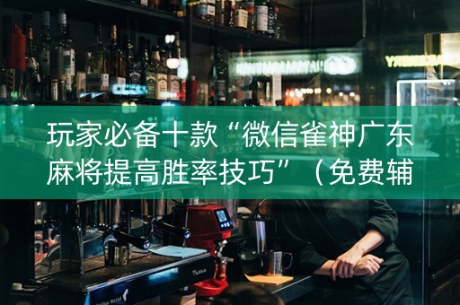 玩家必备十款“微信雀神广东麻将提高胜率技巧”（免费辅助)