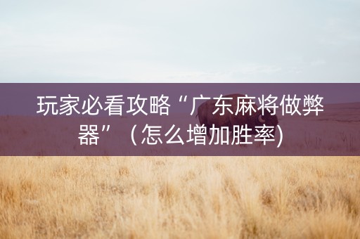 玩家必看攻略“广东麻将做弊器”（怎么增加胜率)