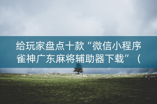 给玩家盘点十款“微信小程序雀神广东麻将辅助器下载”（怎么让系统给你发好牌)