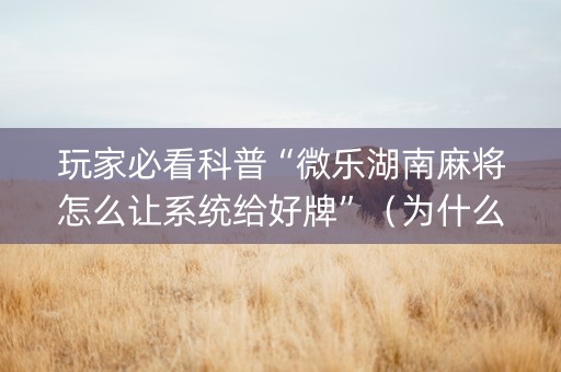 玩家必看科普“微乐湖南麻将怎么让系统给好牌”（为什么有人一直赢)