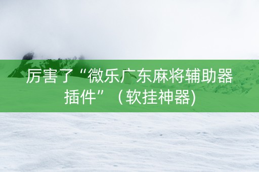 厉害了“微乐广东麻将辅助器插件”（软挂神器)