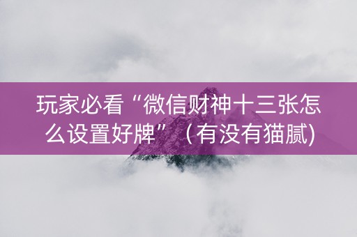 玩家必看“微信财神十三张怎么设置好牌”（有没有猫腻)