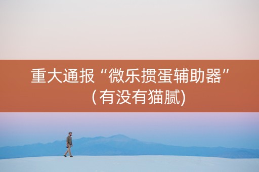 重大通报“微乐掼蛋辅助器”（有没有猫腻)