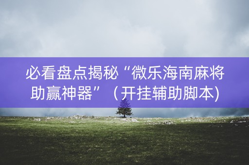 必看盘点揭秘“微乐海南麻将助赢神器”（开挂辅助脚本)