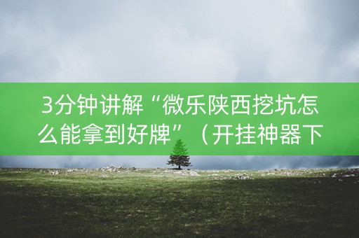 3分钟讲解“微乐陕西挖坑怎么能拿到好牌”（开挂神器下载)
