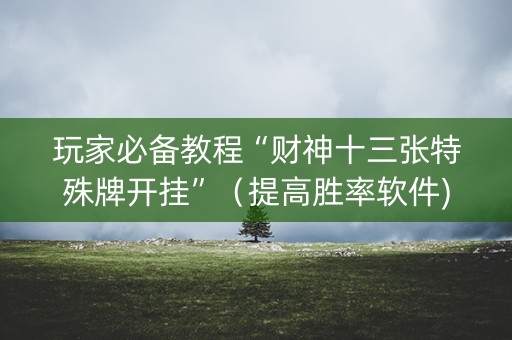 玩家必备教程“财神十三张特殊牌开挂”（提高胜率软件)