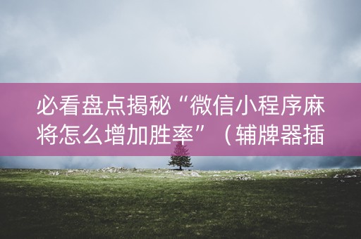 必看盘点揭秘“微信小程序麻将怎么增加胜率”（辅牌器插件购买)