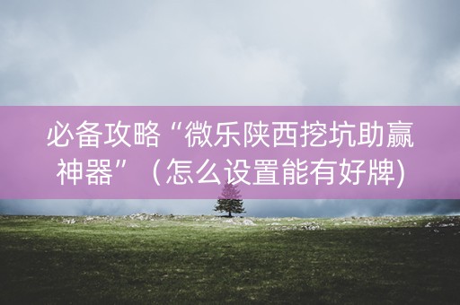 必备攻略“微乐陕西挖坑助赢神器”（怎么设置能有好牌)