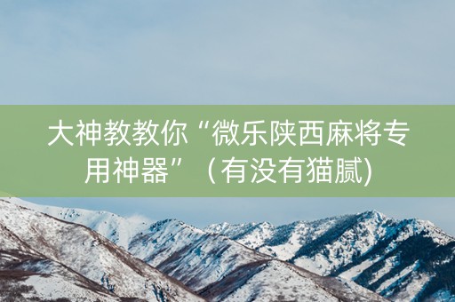 大神教教你“微乐陕西麻将专用神器”（有没有猫腻)