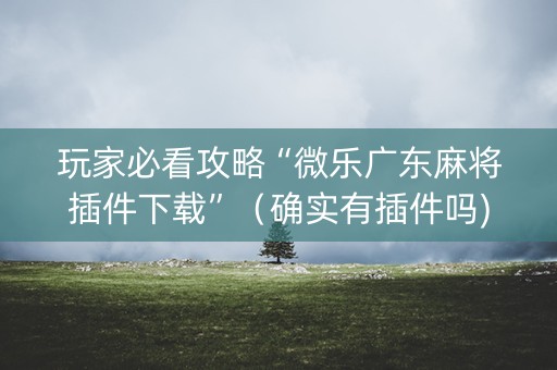 玩家必看攻略“微乐广东麻将插件下载”（确实有插件吗)