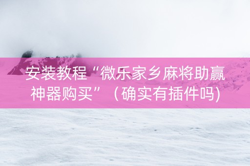 安装教程“微乐家乡麻将助赢神器购买”（确实有插件吗)