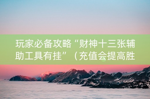 玩家必备攻略“财神十三张辅助工具有挂”（充值会提高胜率么)