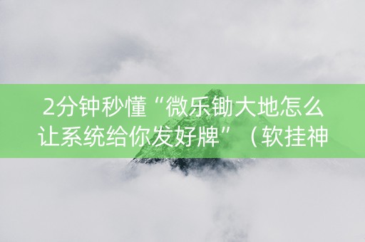 2分钟秒懂“微乐锄大地怎么让系统给你发好牌”（软挂神器)