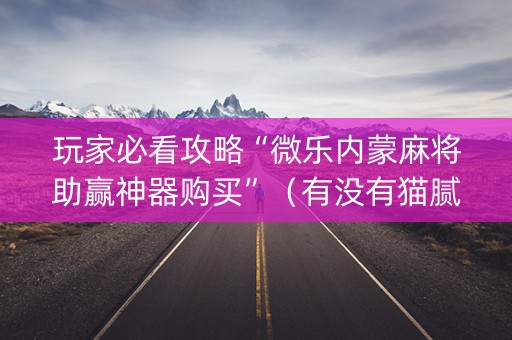 玩家必看攻略“微乐内蒙麻将助赢神器购买”（有没有猫腻)