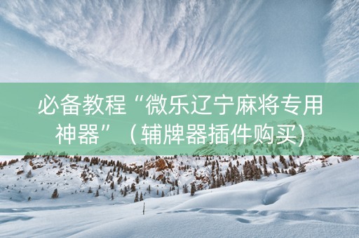 必备教程“微乐辽宁麻将专用神器”（辅牌器插件购买)