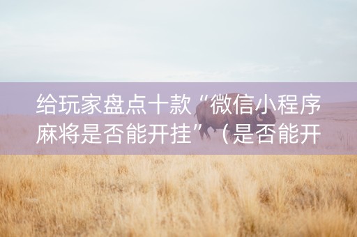 给玩家盘点十款“微信小程序麻将是否能开挂”（是否能开挂)