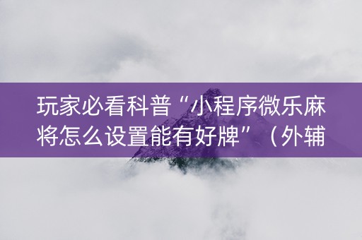 玩家必看科普“小程序微乐麻将怎么设置能有好牌”（外辅工具)