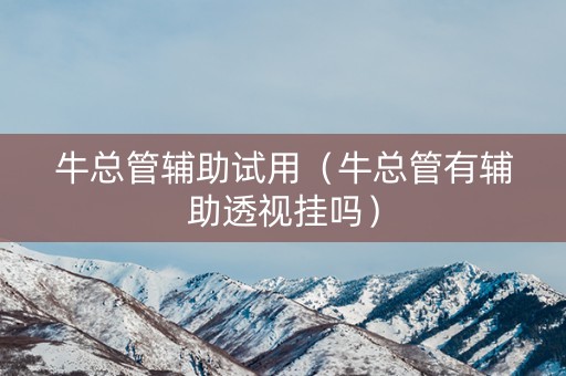牛总管辅助试用（牛总管有辅助透视挂吗）