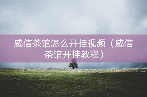 威信茶馆怎么开挂视频（威信茶馆开挂教程）