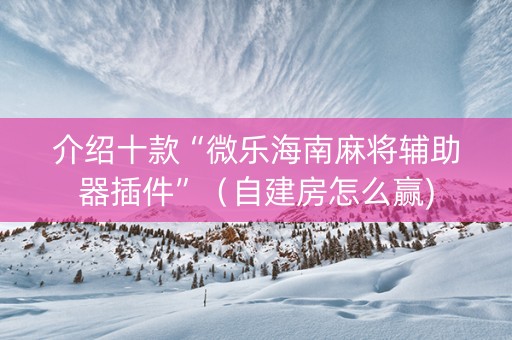 介绍十款“微乐海南麻将辅助器插件”（自建房怎么赢)