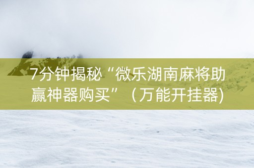 7分钟揭秘“微乐湖南麻将助赢神器购买”（万能开挂器)