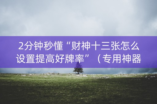 2分钟秒懂“财神十三张怎么设置提高好牌率”（专用神器下载)