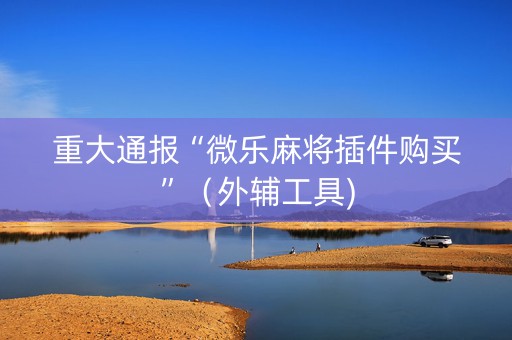 重大通报“微乐麻将插件购买”（外辅工具)