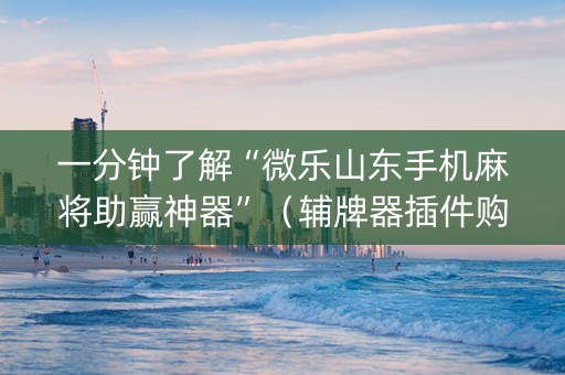 一分钟了解“微乐山东手机麻将助赢神器”（辅牌器插件购买)