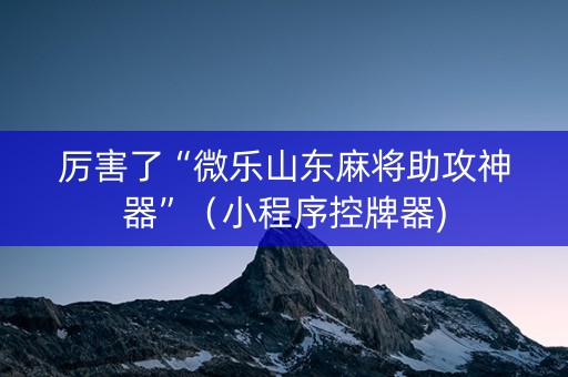 厉害了“微乐山东麻将助攻神器”（小程序控牌器)