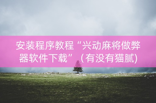 安装程序教程“兴动麻将做弊器软件下载”（有没有猫腻)
