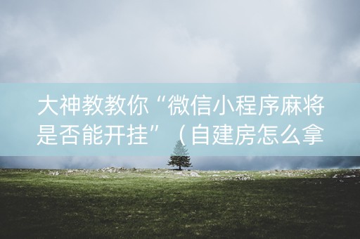 大神教教你“微信小程序麻将是否能开挂”（自建房怎么拿好牌)
