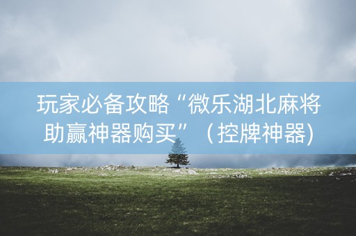 玩家必备攻略“微乐湖北麻将助赢神器购买”（控牌神器)