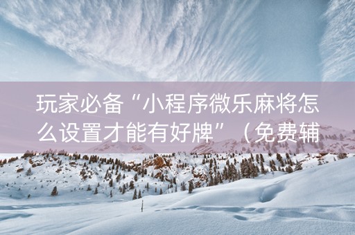 玩家必备“小程序微乐麻将怎么设置才能有好牌”（免费辅助)