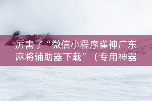 厉害了“微信小程序雀神广东麻将辅助器下载”（专用神器下载)