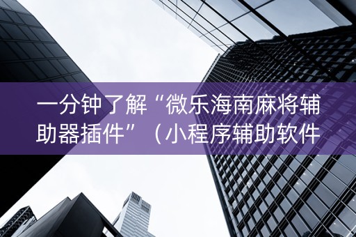 一分钟了解“微乐海南麻将辅助器插件”（小程序辅助软件)