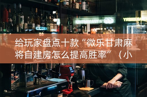 给玩家盘点十款“微乐甘肃麻将自建房怎么提高胜率”（小程序辅助软件)