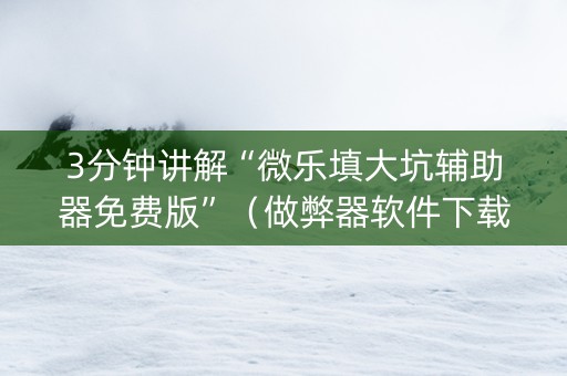 3分钟讲解“微乐填大坑辅助器免费版”（做弊器软件下载)
