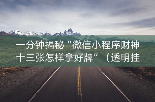 一分钟揭秘“微信小程序财神十三张怎样拿好牌”（透明挂辅助器)