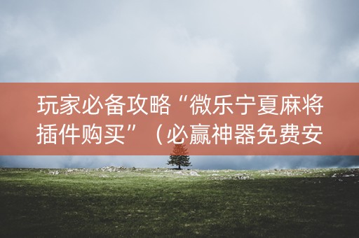 玩家必备攻略“微乐宁夏麻将插件购买”（必赢神器免费安装)
