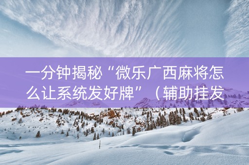一分钟揭秘“微乐广西麻将怎么让系统发好牌”（辅助挂发牌规律)