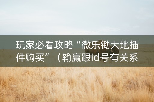 玩家必看攻略“微乐锄大地插件购买”（输赢跟id号有关系吗)