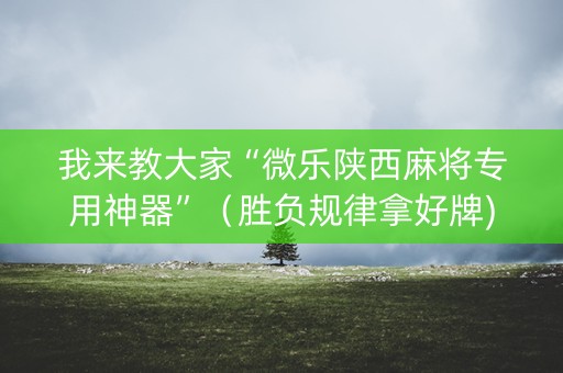 我来教大家“微乐陕西麻将专用神器”（胜负规律拿好牌)