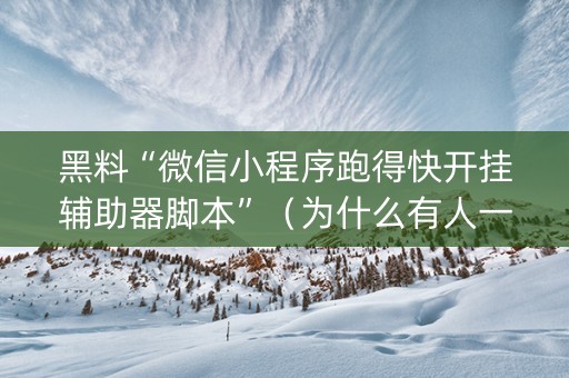 黑料“微信小程序跑得快开挂辅助器脚本”（为什么有人一直赢)