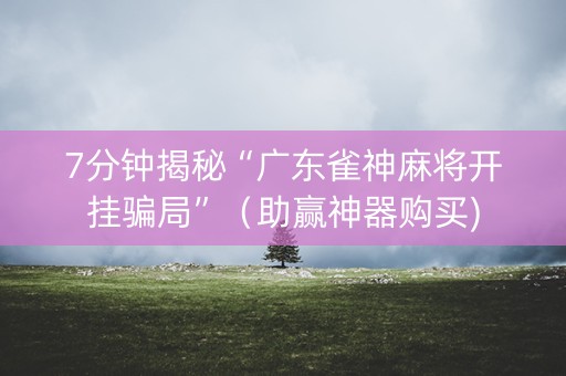 7分钟揭秘“广东雀神麻将开挂骗局”（助赢神器购买)