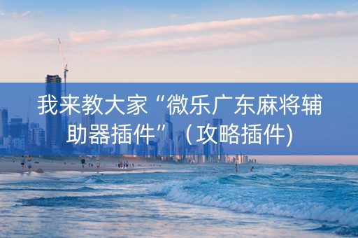 我来教大家“微乐广东麻将辅助器插件”（攻略插件)