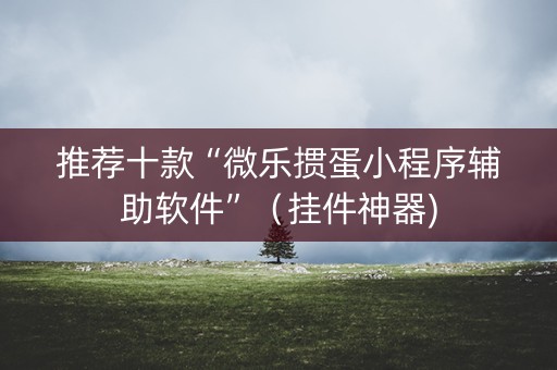 推荐十款“微乐掼蛋小程序辅助软件”（挂件神器)