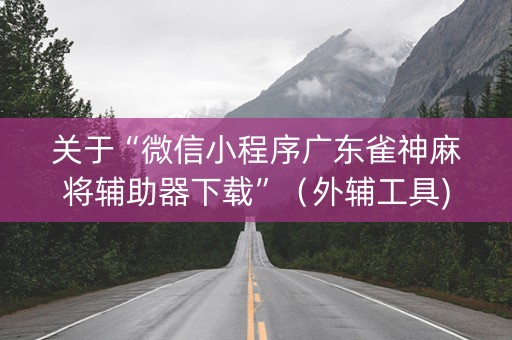 关于“微信小程序广东雀神麻将辅助器下载”（外辅工具)