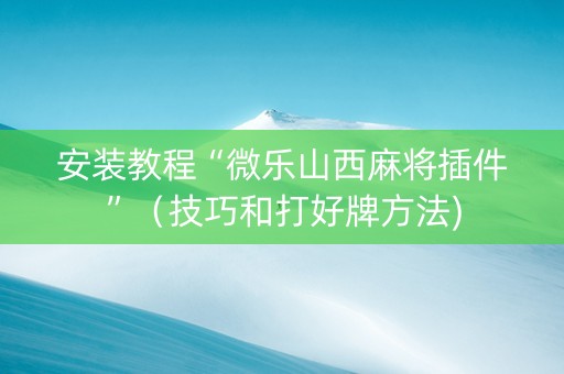 安装教程“微乐山西麻将插件”（技巧和打好牌方法)