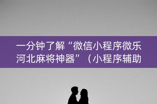 一分钟了解“微信小程序微乐河北麻将神器”（小程序辅助软件)