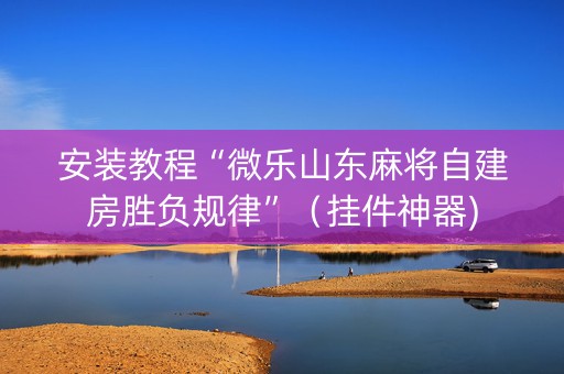 安装教程“微乐山东麻将自建房胜负规律”（挂件神器)